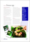 Lesson 1: Dinosaur eggs