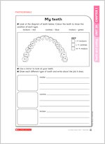 My teeth
