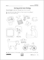 Living and non living