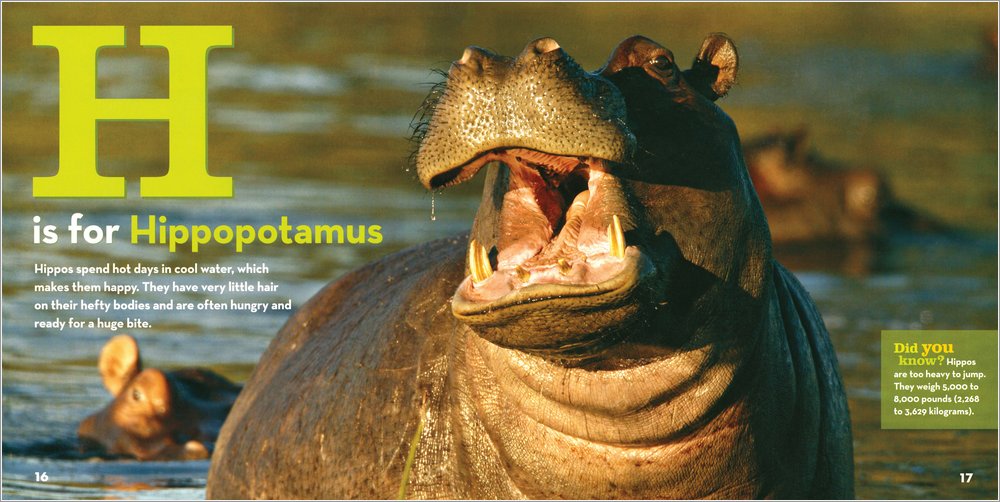 National Geographic Little Kids African Animal Alphabet Scholastic national-geographic-little-kids-african-animal-alphabet-scholastic