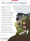 Robert Burns – activities