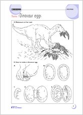 Theme 7: Dinosaur eggs
