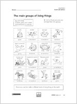 The main groups of living things
