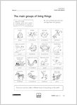 The main groups of living things