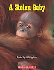 A Stolen Baby