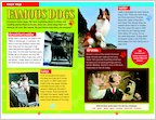 Hotel for Dogs: Sample Fact File