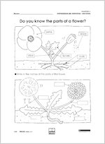 Do you know the parts of a flower?