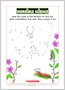 Download Horrible Science Dot to Dot