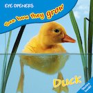 See How They Grow: Duck