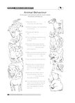 Animal behaviour