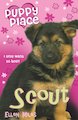 Scout