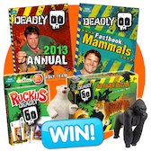 Deadly win image summer 2012 Deadly win image summer 2012