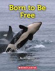 Born to Be Free x 6