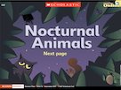 Nocturnal animals