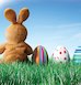 Easter bunny © Kativ/www.istockphoto.com