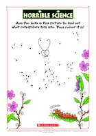 Horrible Science: Join the Dots