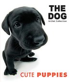 The Dog: Cute Puppies