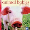 Animal Babies on the Farm