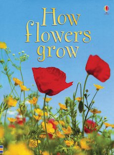 Usborne Beginners: Flowers