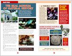 ELT Reader: Night at the Museum Fact File