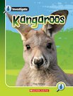 Pack of 6 - Kangaroos