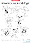 Acrobatic cats and dogs