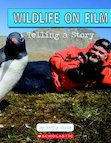 Set of 6 - Wildlife on Film