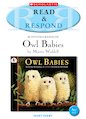 Owl Babies