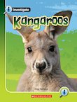 Kangaroos