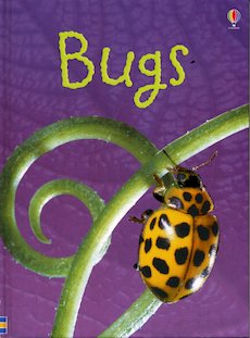 Usborne Beginners: Bugs