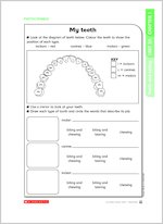 My teeth