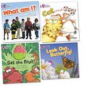 Big Cat Readers Pack: Book Band Lilac