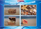 Ocean treasures – poster Ocean treasures – poster