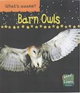 Barn Owls