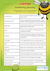 Vegetable patch – activities Vegetable patch – activities