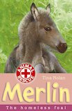 Animal Rescue: Merlin the Homeless Foal