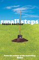 Small Steps