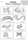 Find a minibeast