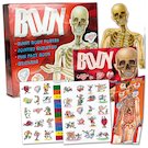The Body Box