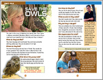 ELT Reader: Hoot Fact File