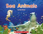 Sea Animals