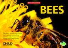 Bees
