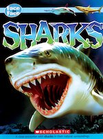 Face to Face Sharks