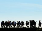 Walk to School