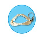 FREE Shark jaw keyring