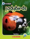 Pack of 6 - Ladybirds