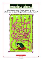 Horrible Science: Untangle the Worms