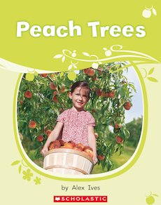 Guided Readers: Peach Trees Pack of 6