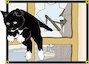 Trim the Ship's Cat Trim the Ship's Cat