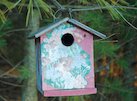 National Nest  Box Week